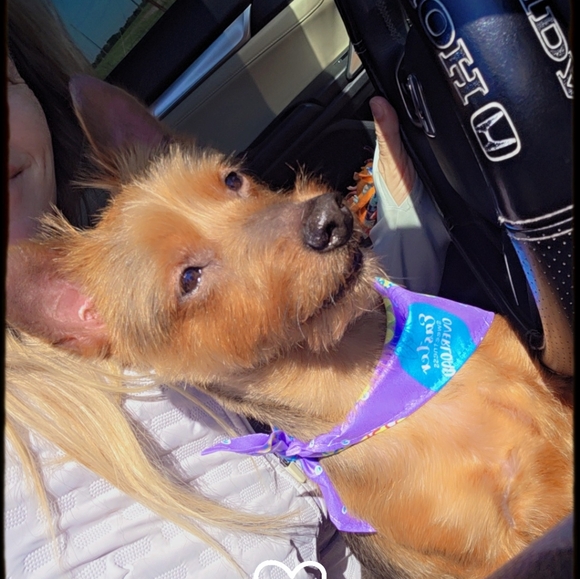 Meet your Posher, Laura - Picture 10 of 16